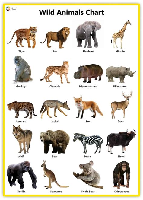 Animal Pictures and Facts .